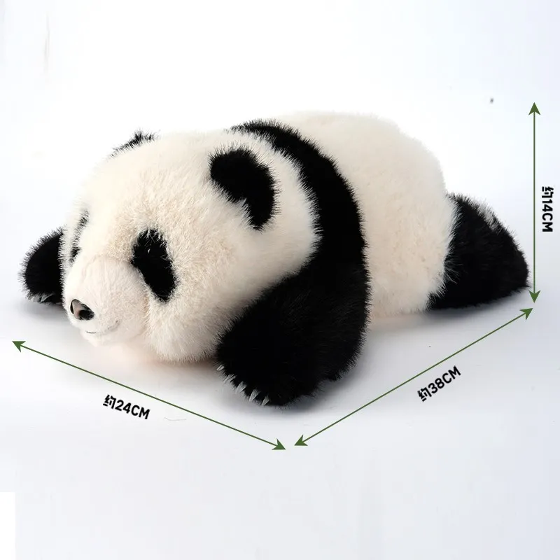 product-800-800